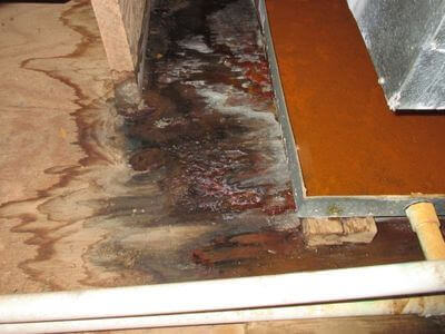 About water damage restoration service - burst pipe water damage experts in Neptune